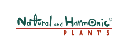 ナチュラル＆ハーモニック プランツ