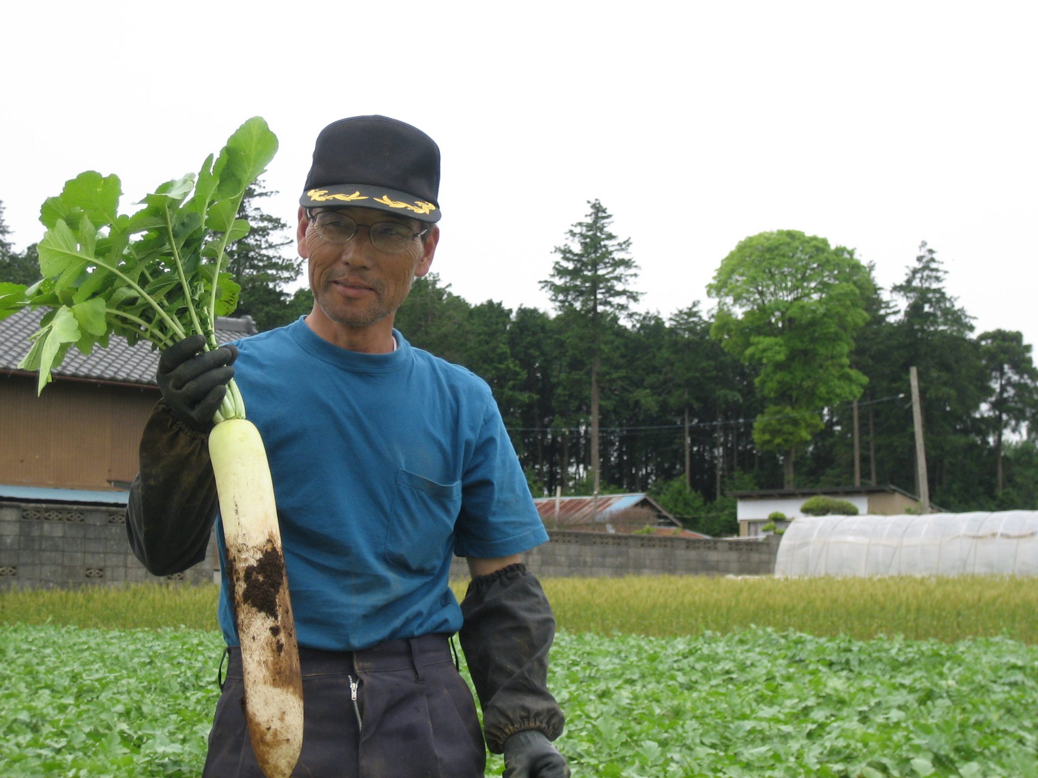 9 24 月 祝 自然栽培の奥義に触れよう 高橋博さんの畑見学ツアー ナチュラル ハーモニー 9 24 月 祝 自然栽培の奥義に触れよう 高橋博さんの畑見学ツアー ナチュラル ハーモニー