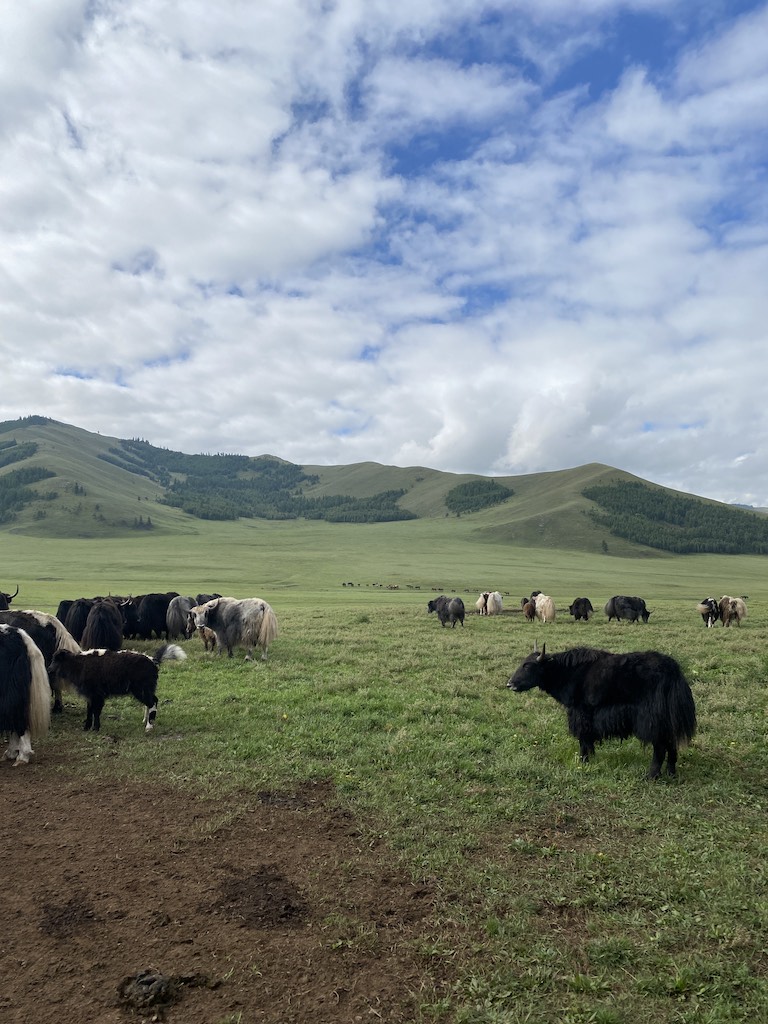 画像に alt 属性が指定されていません。ファイル名: IMG_0088.jpeg